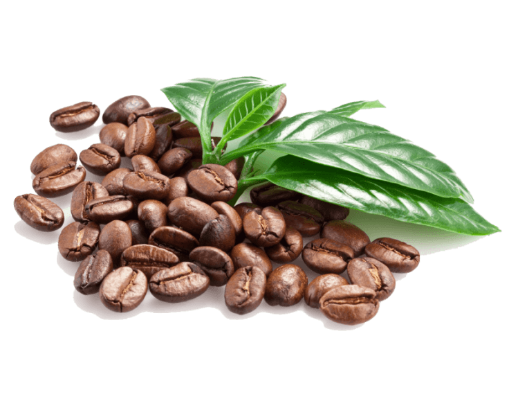 CEAI și CAFEA